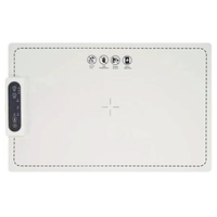 【クリスマス限定！50%OFF大セール】 MadoriTray™ 保温プレート